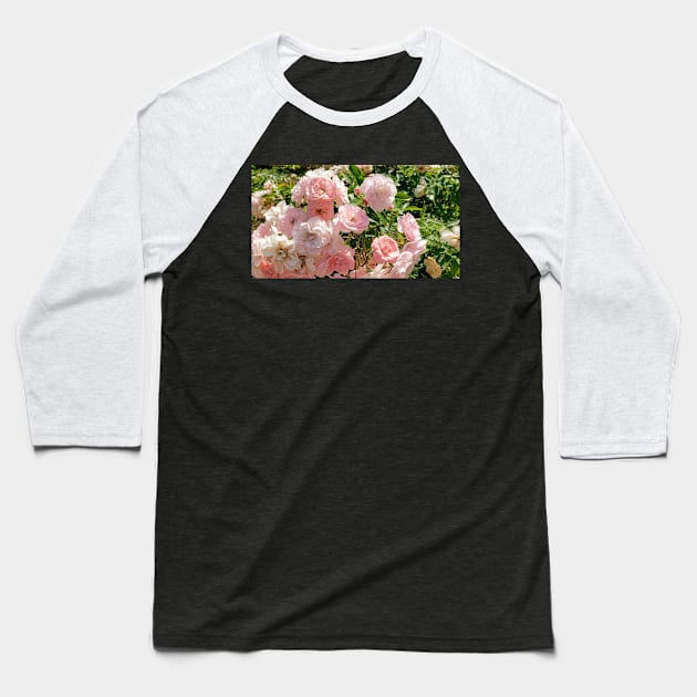 Paris Pink Rose Bush Baseball T-Shirt by BlackBeret